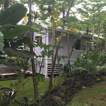 The Dolphin Cottage At Kehena Beach 외부 사진
