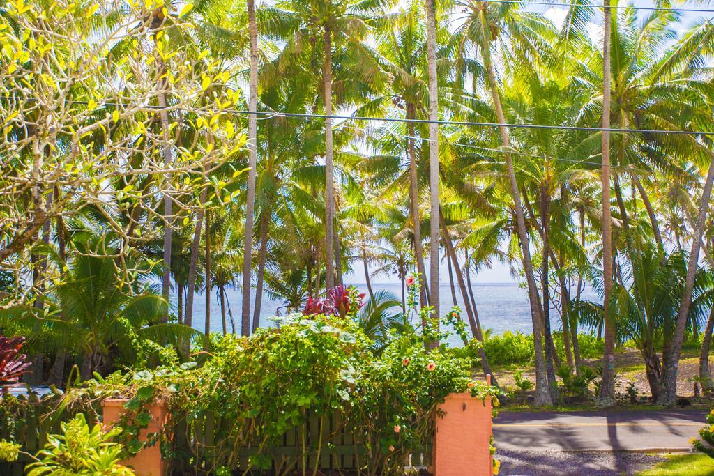 The Dolphin Cottage At Kehena Beach 외부 사진
