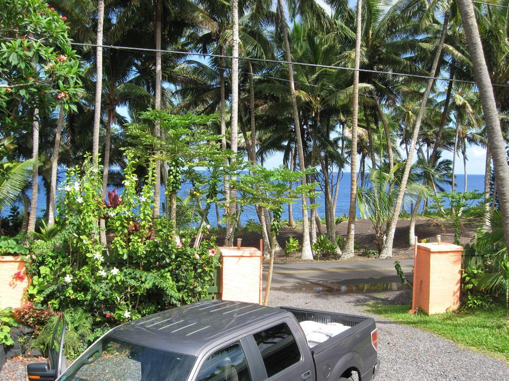 The Dolphin Cottage At Kehena Beach 외부 사진