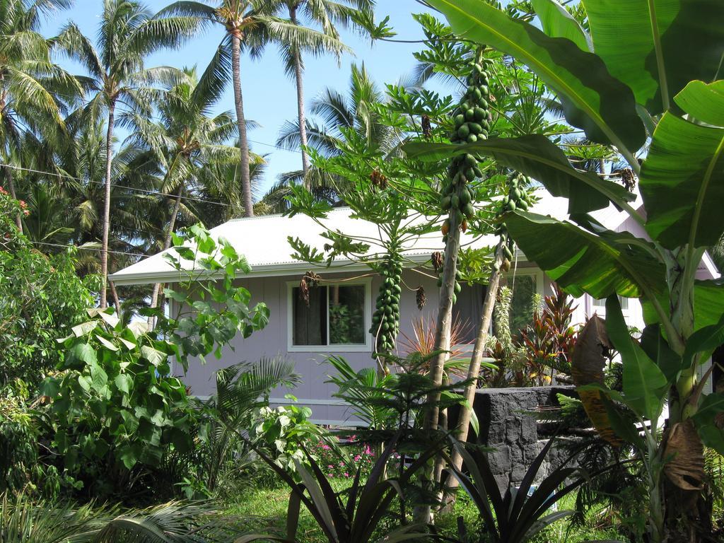 The Dolphin Cottage At Kehena Beach 외부 사진