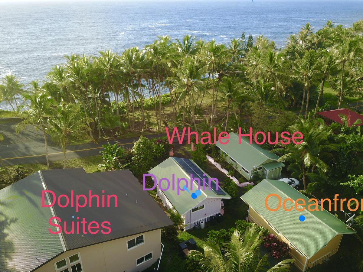 The Dolphin Cottage At Kehena Beach 외부 사진