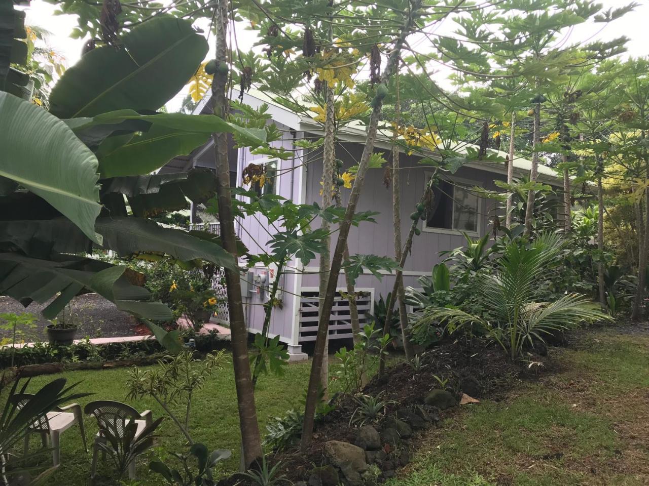 The Dolphin Cottage At Kehena Beach 외부 사진